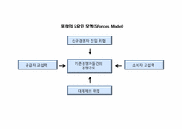 [마케팅 전략] 마케팅전략을 위한 환경분석 정리-16