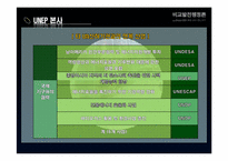 [비교발전 행정론] UNEP 국제환경기구 기관 분석-14