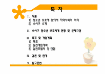 [지역사회복지] 소사구 청소년 보호체계에 관한 연구-2