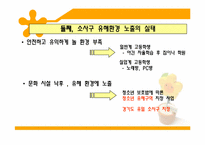 [지역사회복지] 소사구 청소년 보호체계에 관한 연구-17
