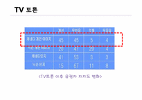 [정치와 매스미디어] 뉴미디어와 정치 커뮤니케이션과의 상관관계-13