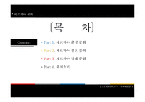 [유고역사] 세르비아 문화(Srbija Kultura)-2