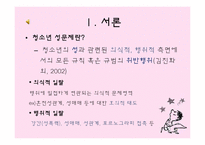 [청소년 지도학] 청소년 성문제의 실태와 예방 방안-4
