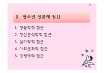 [청소년 지도학] 청소년 성문제의 실태와 예방 방안-6