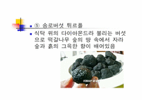 [세계문화] 세계 식생활과 문화 - 프랑스-15