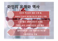 [세계문화] 와인의 지역적 차이 및 비교-3
