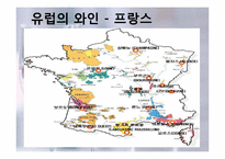 [세계문화] 와인의 지역적 차이 및 비교-6