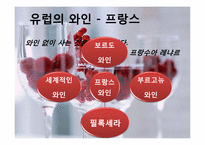 [세계문화] 와인의 지역적 차이 및 비교-7