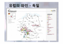 [세계문화] 와인의 지역적 차이 및 비교-11