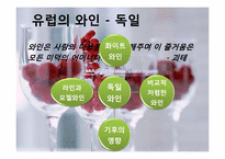 [세계문화] 와인의 지역적 차이 및 비교-12