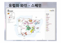 [세계문화] 와인의 지역적 차이 및 비교-13