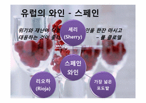 [세계문화] 와인의 지역적 차이 및 비교-14