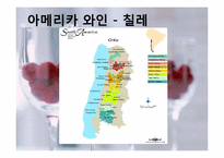 [세계문화] 와인의 지역적 차이 및 비교-17