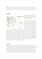 [역사학] 몽골제국의 팽창과 원동력-군사적 특지-4