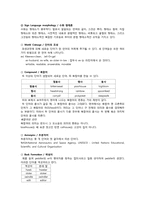 [영어학 개론] 형태론 정리-5