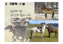 [역사학] 몽골제국의 팽창과 원동력-군사적 특지-14