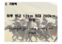 [역사학] 몽골제국의 팽창과 원동력-군사적 특지-17
