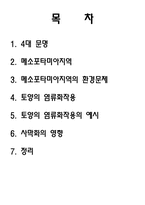 [환경생태] 인류 4대 문명 발생지의 환경 문제-2