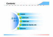 [생물학] 초파리 배양과 3점교배실험을 통한 유전자의 유전 양상 이해-1