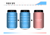 [생물학] 초파리 배양과 3점교배실험을 통한 유전자의 유전 양상 이해-17