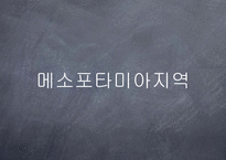 [환경생태] 인류 4대 문명 발생지의 환경 문제-10