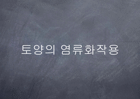 [환경생태] 인류 4대 문명 발생지의 환경 문제-18