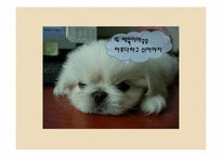 [스포츠 교육] 발달단계 모형수업과 교사의 역할-3