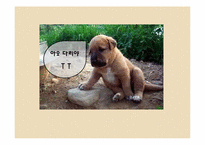 [스포츠 교육] 발달단계 모형수업과 교사의 역할-5