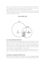 [관광학원론] 놀이와 관광-12