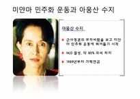 [정치과정론] NGO와 거버넌스-3