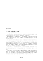 중국시장에 대한 `삼성 애니콜` 휴대폰 진출전략-4