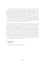 중국시장에 대한 `삼성 애니콜` 휴대폰 진출전략-10