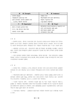중국시장에 대한 `삼성 애니콜` 휴대폰 진출전략-11
