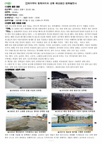 [관광개발론] 강릉 안목 해안의 관광명품화를 위한 획기적인 해안 개발방안-3
