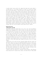애니콜의 중국진출전략-7