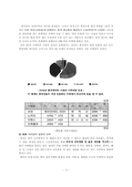 애니콜의 중국진출전략-12