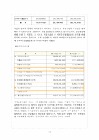 에코에너지 홀딩스 제무제표분석-12