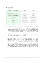 에코에너지 홀딩스 제무제표분석-18