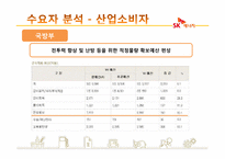 [인터넷비즈니스] SK에너지 분석-13