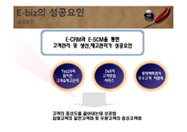 e-biz 마케팅 성공사례 및 요인분석-19