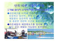 [관광개발론] 강릉 안목 해안의 관광명품화를 위한 획기적인 해안 개발방안-15