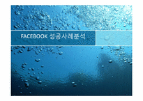 페이스북 FACEBOOK 성공사례분석-1