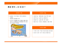 웅진코웨이 룰루 경영전략-5