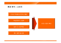 웅진코웨이 룰루 경영전략-7