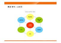 웅진코웨이 룰루 경영전략-9