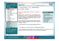 항공사 CATHAY PACIFIC 케세이 퍼시픽 온라인마케팅-11