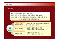 애니콜 중국진출 현지화 전략-14