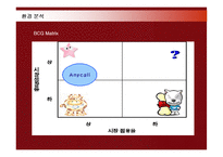 애니콜 중국진출 현지화 전략-18