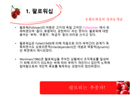 2인자(팔로워)의 리더십-5