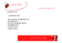 2인자(팔로워)의 리더십-9